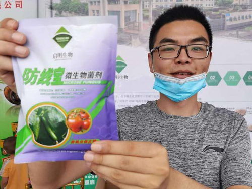 湖北宜都菌種廠 墻外花開香四方，農業種養與肥料生產的新引擎