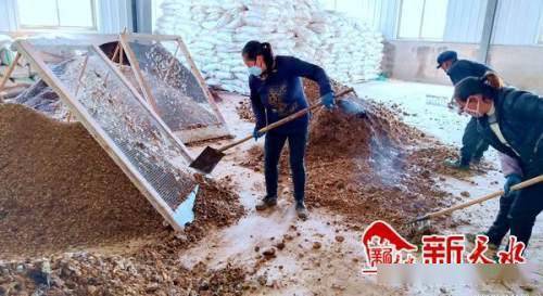 沃土富民路，生態高橋村 發展有機肥料產業，書寫鄉村振興新篇章