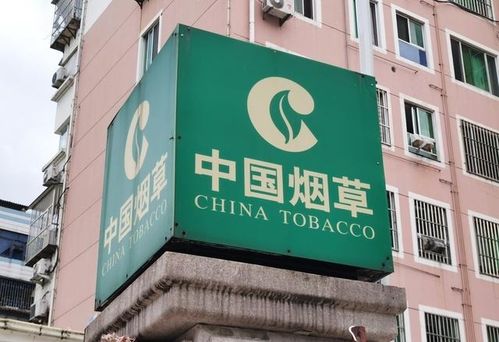 新疆煙草局校招開啟 擴(kuò)招名額，高中起點，專業(yè)不限，軟件開發(fā)崗位吸引貴州學(xué)子